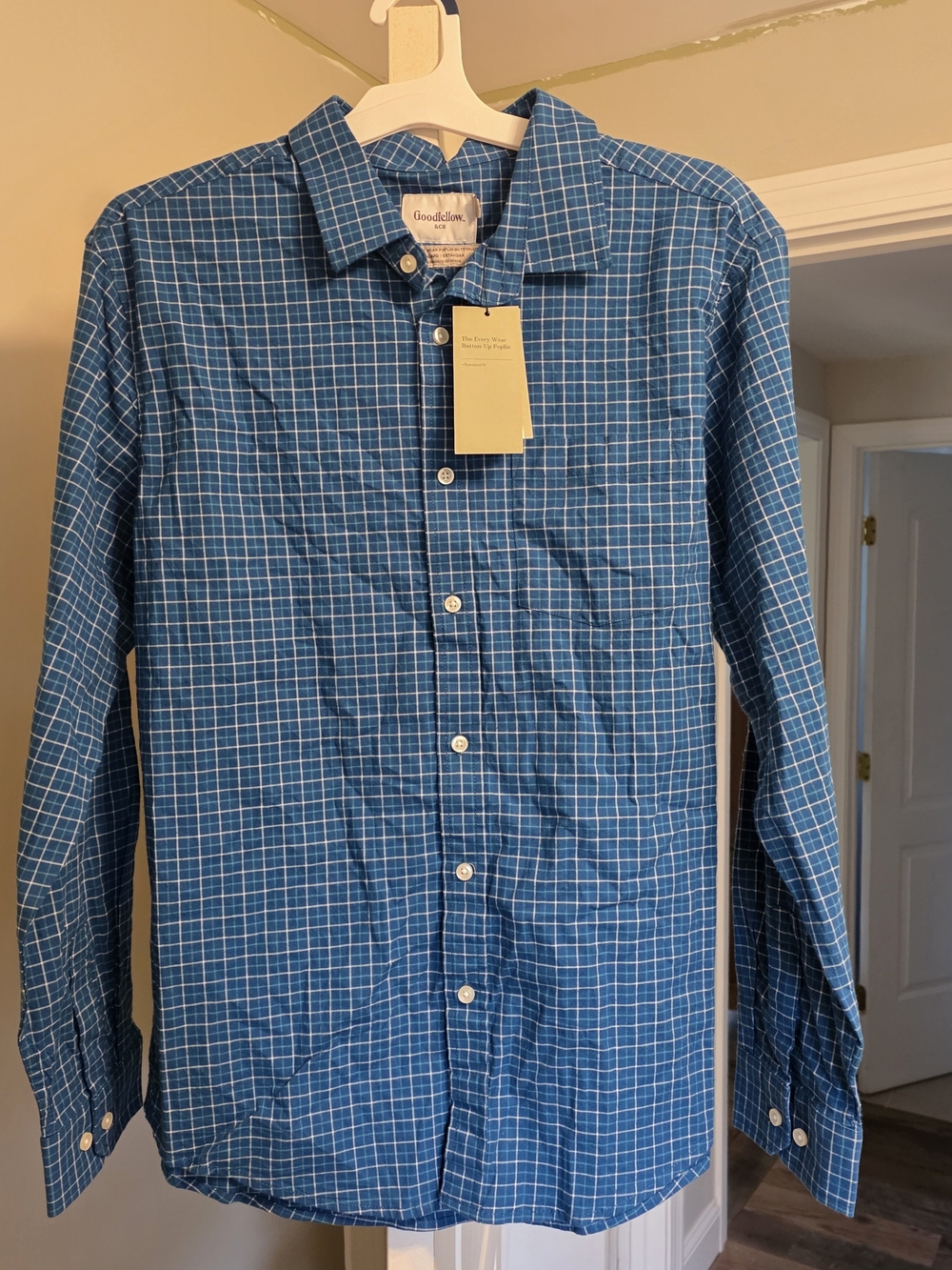 Goodfellow & Co Blue Grid Button-Down Shirt